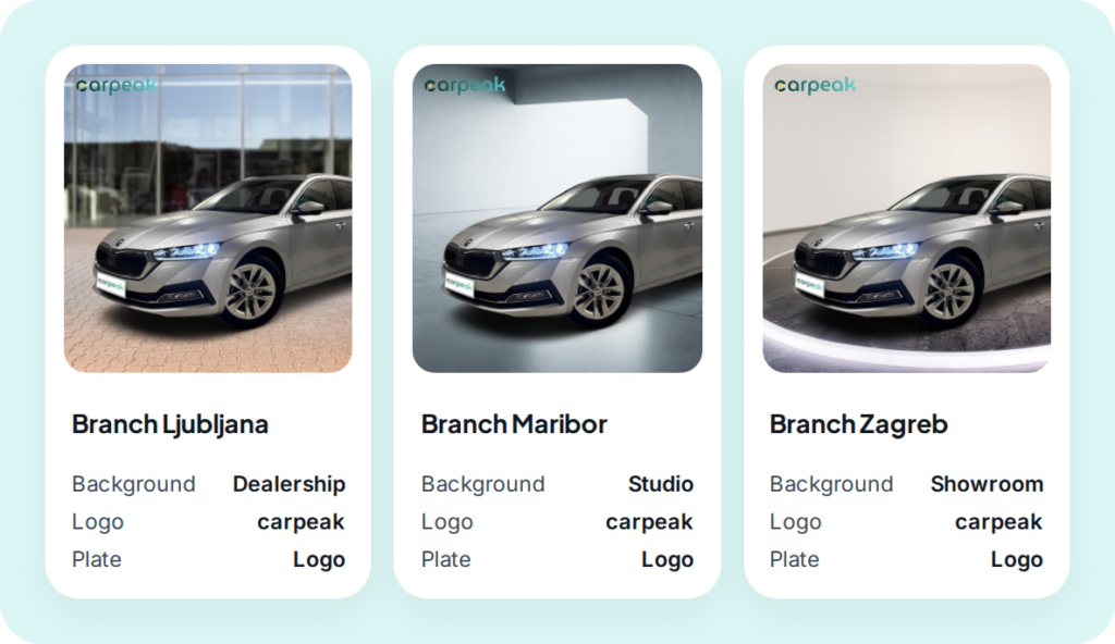 Choosing the branch background for vehicle photos in CarPeak